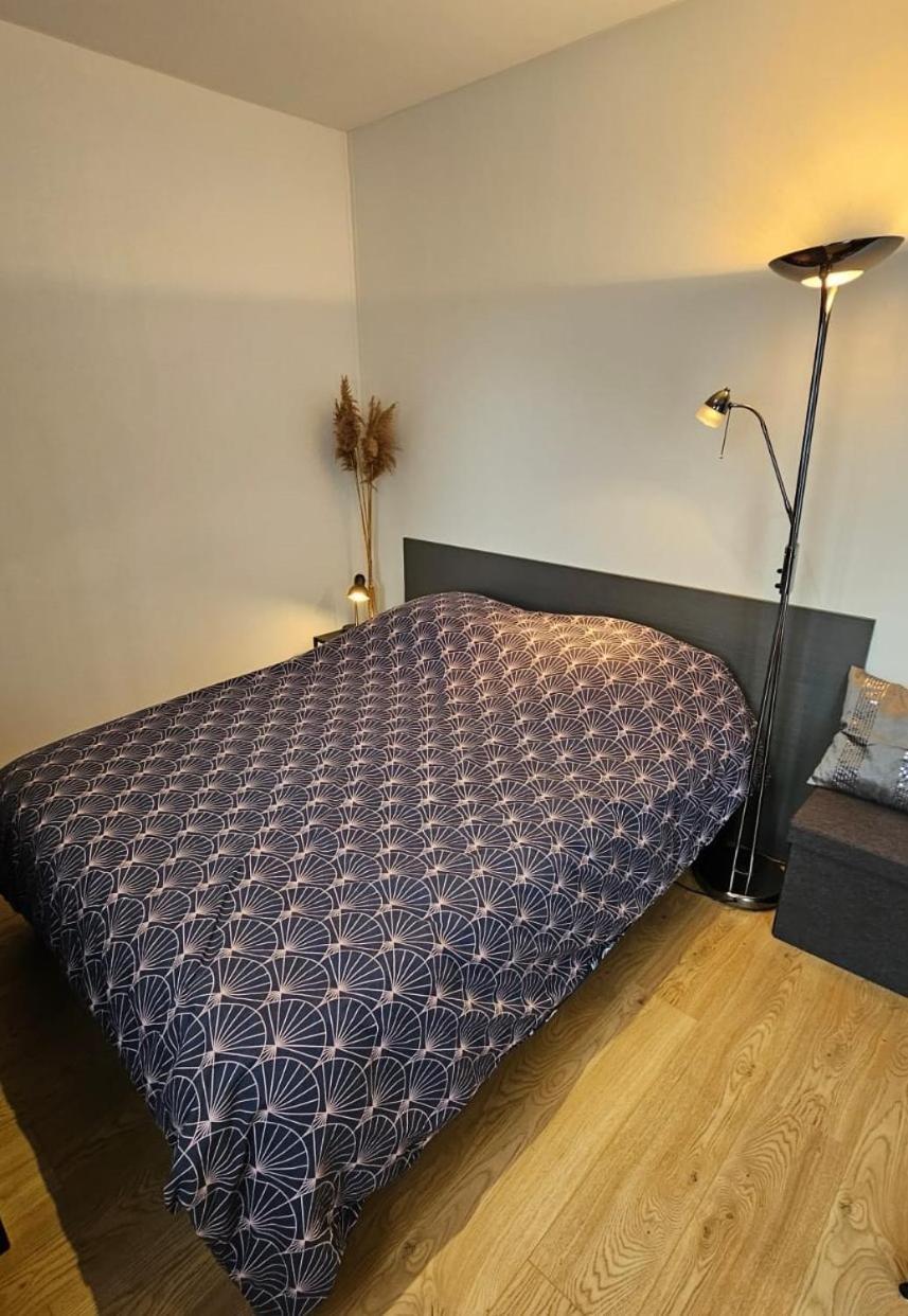 Studio Les Deux Grenouilles 5Mn De Colmar Herrlisheim-près-Colmar Eksteriør bilde